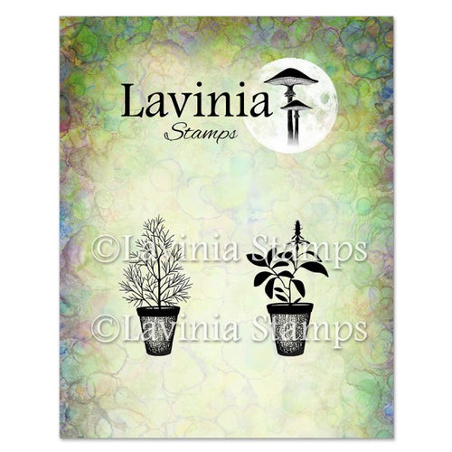 Dill & Sage Pots Stamp Lavinia LAV939