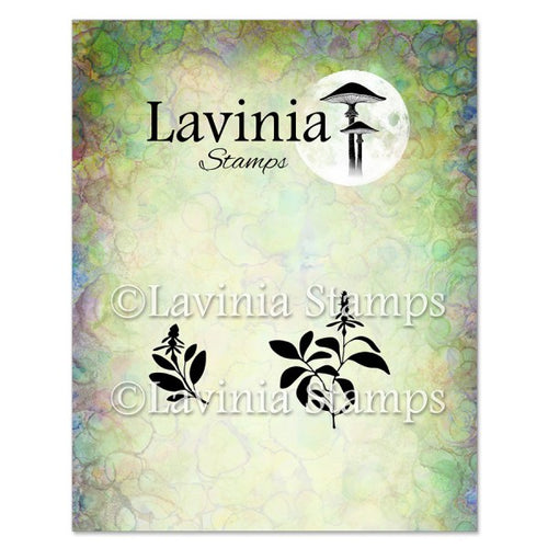 Sage Stamp Lavinia LAV949