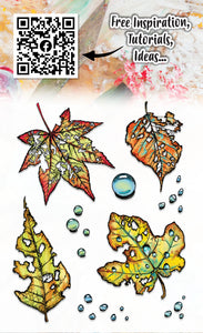 Crunched Leafdrop #1109 Clear Stamp Set Aall and Create