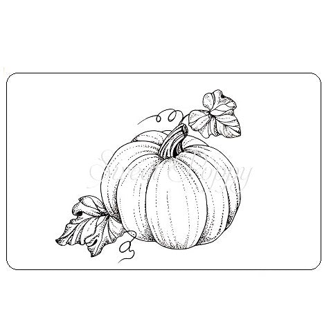 Pumpkin Stamp Set by Sweet Poppy