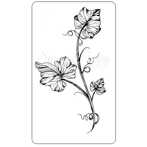 Pumpkin Vine Clear Stamp Sweet Poppy SPSTMP_PUMPKINVINE