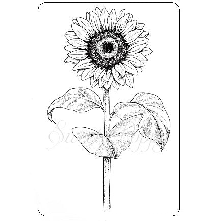 Sunflower Clear Stamp Sweet Poppy SPSTMP_SUNFLOWER