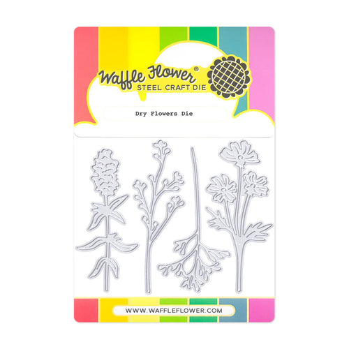 Dry Flowers Die Waffle Flower 422004