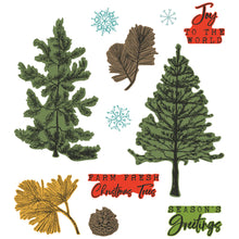 Load image into Gallery viewer, Pine Holidays Stamp &amp; Die Set 49 &amp; Market 666711