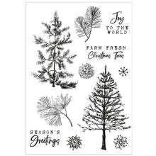 Load image into Gallery viewer, Pine Holidays Stamp &amp; Die Set 49 &amp; Market 666711