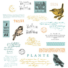 Load image into Gallery viewer, Bird Song Stamp and Die Set 49 &amp; Market 666704