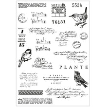 Load image into Gallery viewer, Bird Song Stamp and Die Set 49 &amp; Market 666704