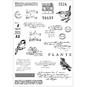 Bird Song Stamp and Die Set 49 & Market 666704