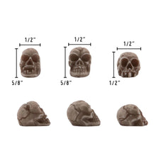 Load image into Gallery viewer, Resin Skulls Tim Holtz idea-ology TH94401