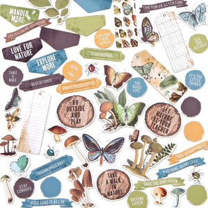 Nature Study Chipboard Set by 49 and Market