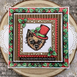 Santa Paws Jane Davenport A5 Clear Stamp Set