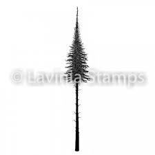 Small Fairy Fir Tree LAV489s