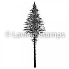 Fairy Fir Tree 2 LAV477