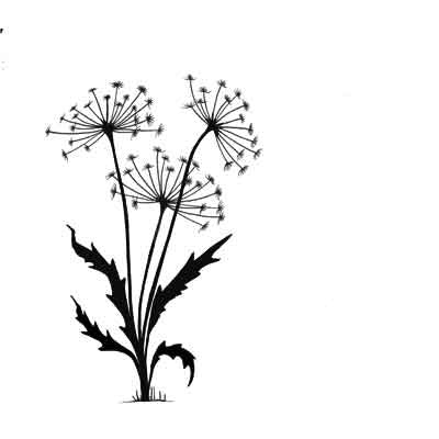 Dandelions 2 LAV220