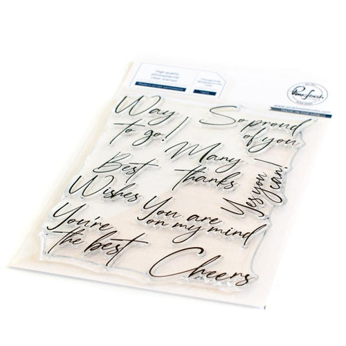 Modern Scripted Sentiments Stamp Set Pinkfresh 151922